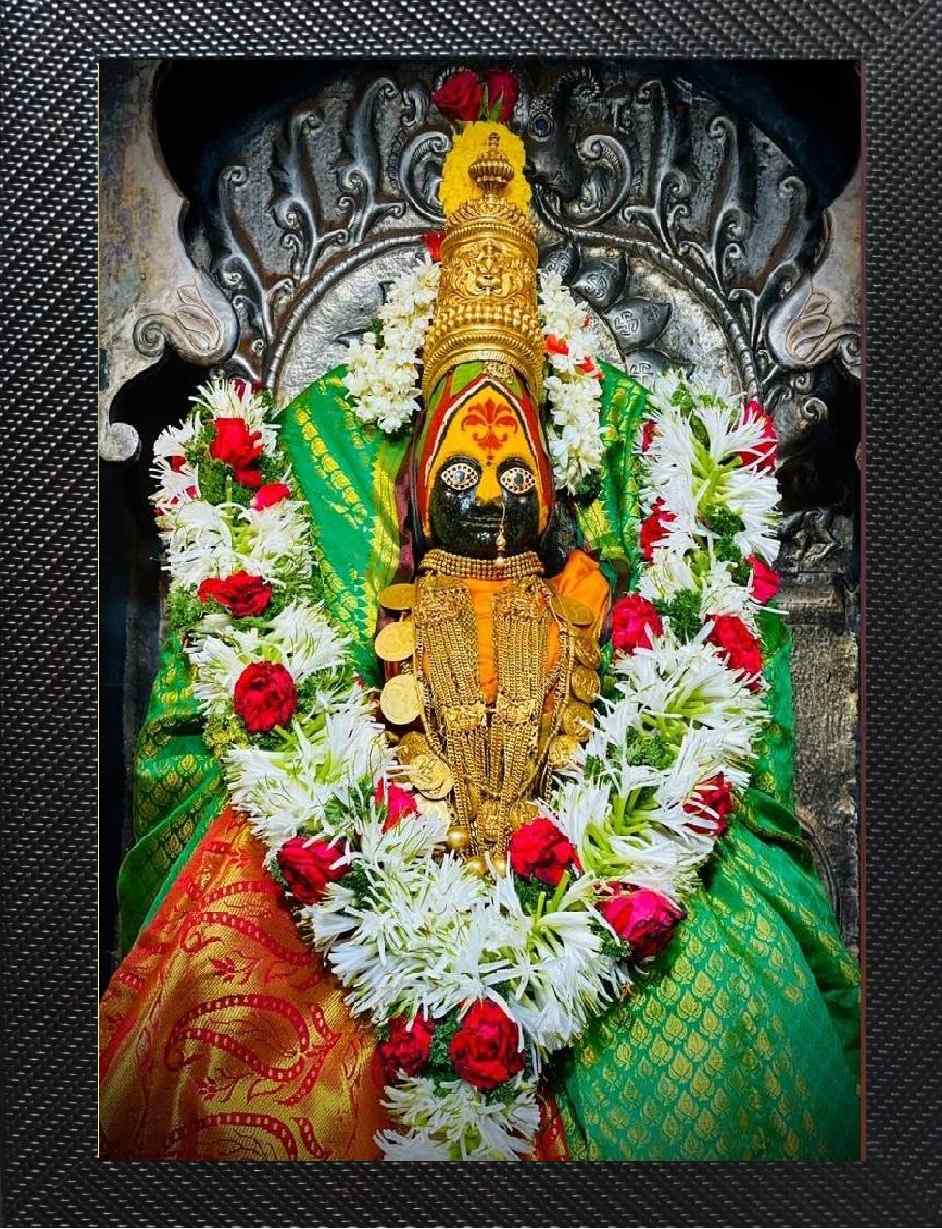 Tulja Bhavani Maa Mata Tuljapur Tuljabhavani Wall hanging Photo Frame 12X 9 inches